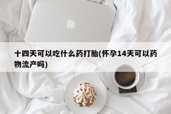 流产药货到付款十四天可以吃什么药打胎(怀孕14天可以药物流产吗)
